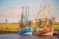 Dorum_09365