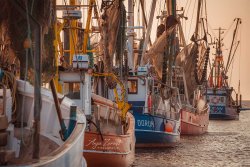 Dorum_09377