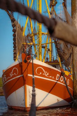 Dorum_09392