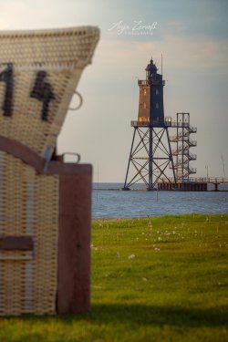 Dorum_09431