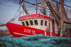 Dorum_09468