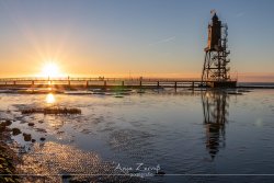 dorum_0738