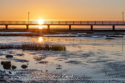 dorum_0763