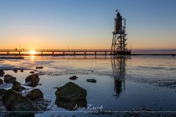 dorum_0774