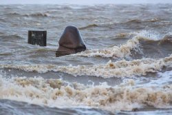 dangast_13709