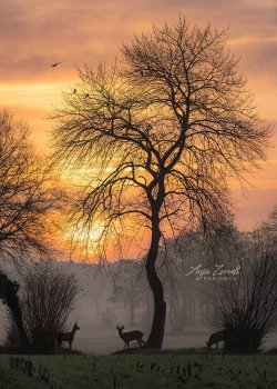 Obenstrohe_02190