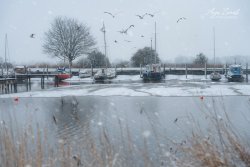 Varel_03444