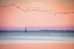 Dangast_00378