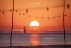 Dangast_03335