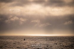 Dangast_09962