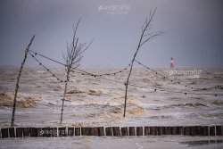 Dangast_07874