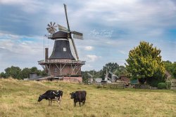 RuttelerMühle_0047