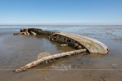SchilligWrack_0068