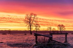 Varel_0610