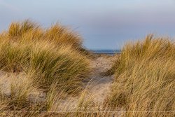 Schillig_2017