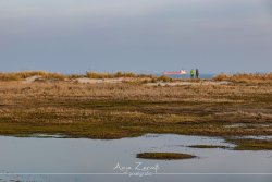 Schillig_2023