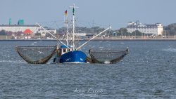 dangast_3149