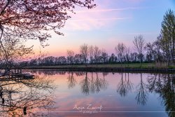 varel_4292