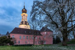 schoje_4465