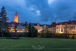 schoje_4467