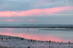 varel_4852
