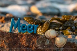 hooksiel_5924