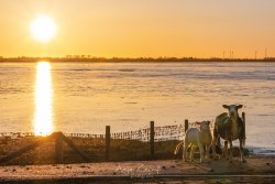 dangast_5925