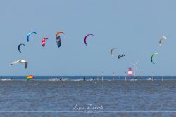 horumschi_6916