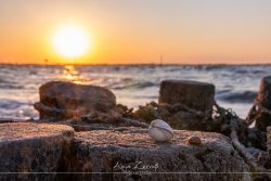 hooksiel_7044