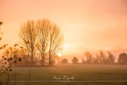 neze_7302