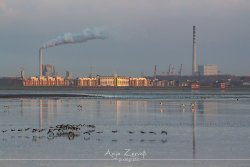 dangast_7661