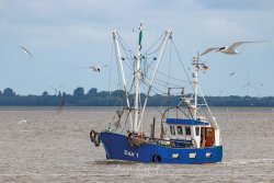 dangast_7916