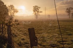 Varel_8030