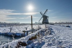 Neustadtgoedens_8139