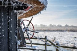 Neustadtgoedens_8180