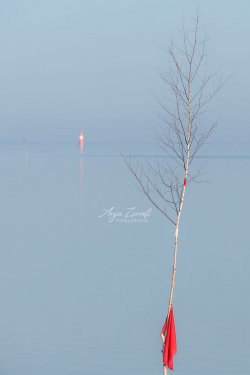 Dangast_8200