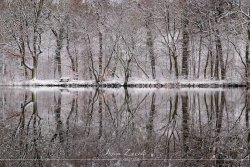 varel_8236