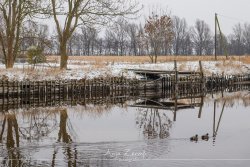 varel_8283