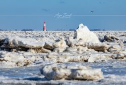 Dangast_8410
