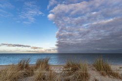 Schillig_9419