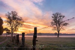 varel_9563