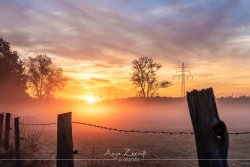 varel_9584