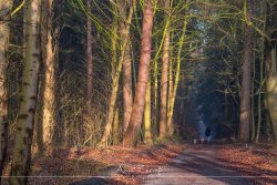 varel_9684