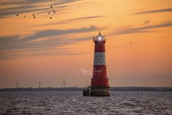 Dangast_9840