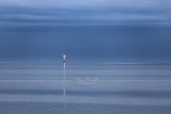Arngast_9948