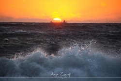 sylt_11020