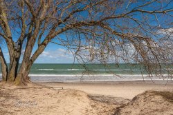 Rügen_Prora06700