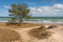 Rügen_Prora06709