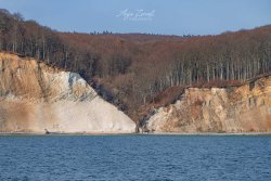 Rügen_Kreidefelsen06907