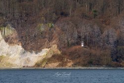 Rügen_Kreidefelsen06912